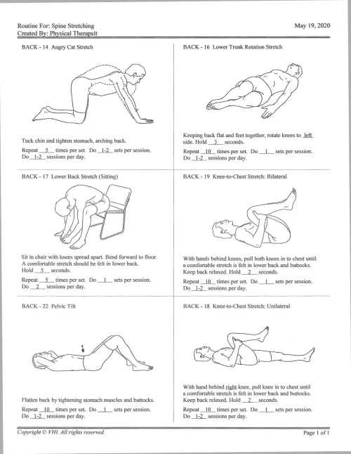 Spine stretching routine handout: angry cat stretch, lower trunk rotation, lower back stretch, knee-to-chest and pelvic tilt